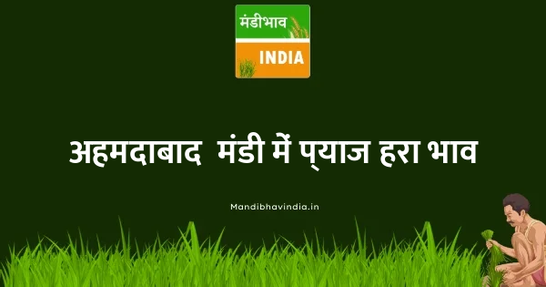 Onion Green भाव